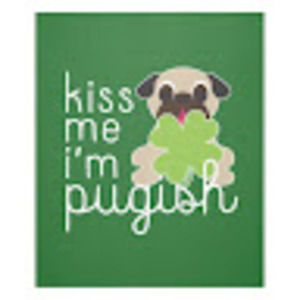 Meet your Posher, Sue